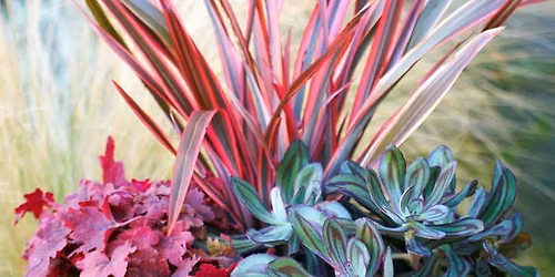 Fall Container Class