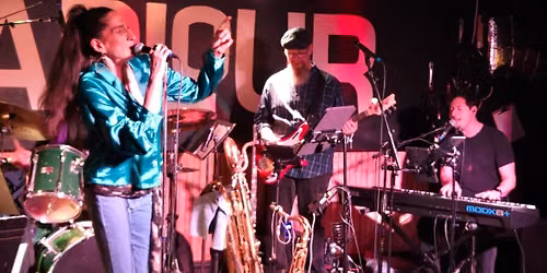 Rory And The Blues Hounds At The Parlour Providence 