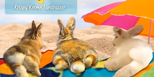 Sun's Out, Buns Out - Rabbit Adoption Event