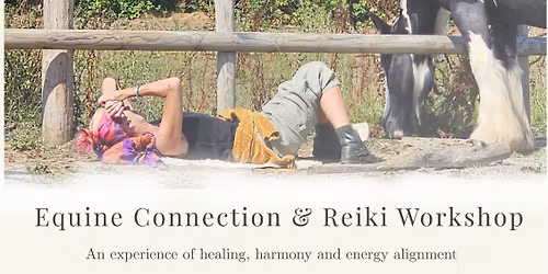 Reiki and Somatic Nature and Horse Connection 