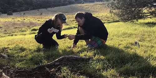 Upper Hutt Forage fun!