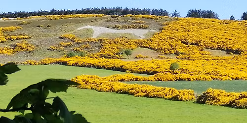 10th anniversary run