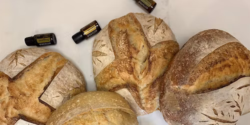 From Starter To Wellness