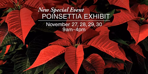 Poinsettia Exhibit