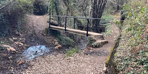 JUEVES PARA SENIORS: EL BOSQUE ENCANTADO DE ARACENA