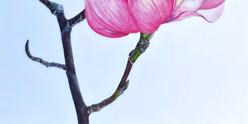 Botanical Painting in Watercolour