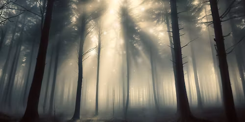 NKO: Minnet av ljus | Kulturens hus Lule\u00e5