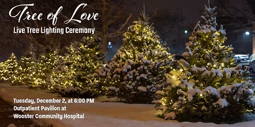 Tree of Love Lighting Ceremony