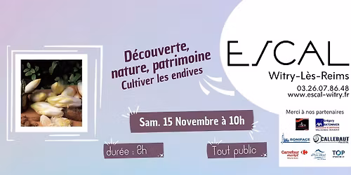 D\u00e9couverte, Nature et Patrimoine "Cultiver les endives"