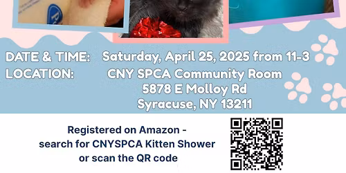 2nd Annual CNY SPCA Kitten Shower