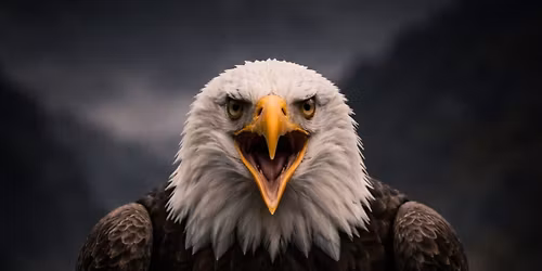 Pulling for Team USA \ud83c\uddfa\ud83c\uddf8\ud83d\udcaa\ud83c\udffc\ud83c\uddfa\ud83c\uddf8\ud83d\udd25