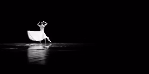Flamenco Vivo Carlota Santana - Appleton
