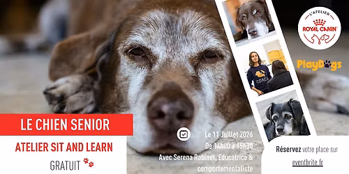 Atelier Sit & Learn - Chien S\u00e9nior