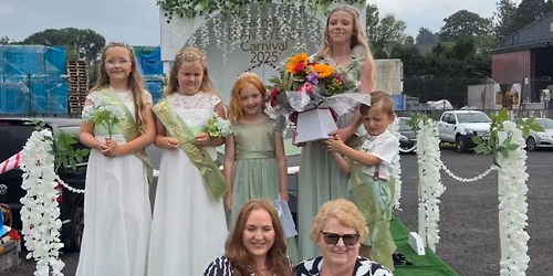 Carnival Selection Ball 