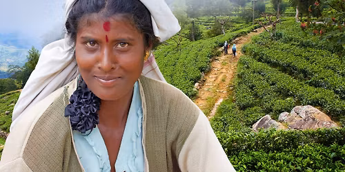 Martin Loew - Sr\u00ed Lanka