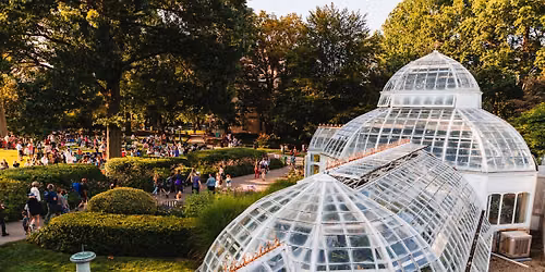 Summer Fridays at the Frick | Donora