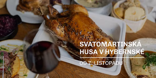 SVATOMARTINSK\u00c1 HUSA V HYBERNSK\u00c9