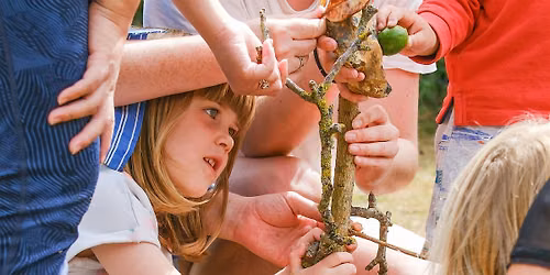 Play Discover Share Goes Wild: Living Theatre workshop (4-10 years)