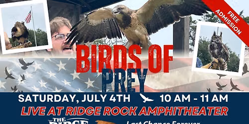 Birds of Prey