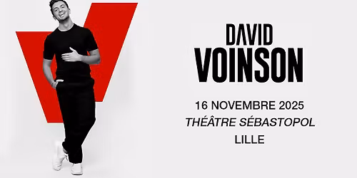 David Voinson - Th\u00e9\u00e2tre S\u00e9bastopol, Lille - 16.11.2025