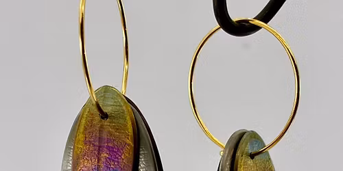 Titanium Earrings - Wellington