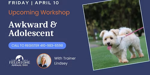 Dog Workshop: Awkward & Adolescent