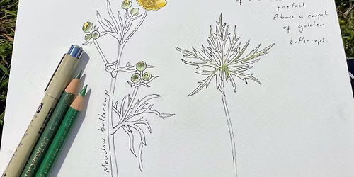 Floodplain Meadows Botanical Sketchbook Workshop (Nene Wetlands)