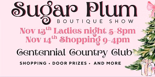Sugar Plum Boutique Show Ladies Night