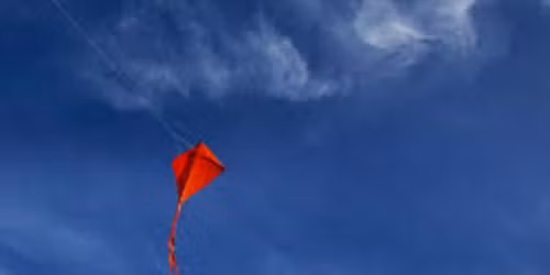 Sky, Air and Wind: A Celebration of Alex Ogle