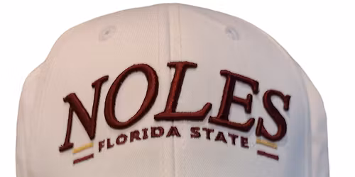 North Carolina State Wolfpack at Florida State Seminoles Mens Baseball at Dick Howser Stadium