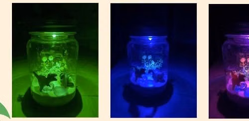 Dino Night Lights