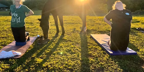 Sunset Yoga on the Farm