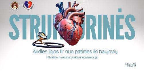 Strukt\u016brin\u0117s \u0161irdies ligos II: nuo patirties iki naujovi\u0173