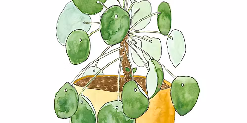 Mindful Watercolour Plant Illustration
