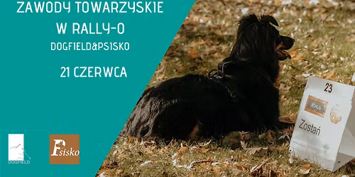 Zawody Towarzyskie  w Rally-O Dogfield &Psisko