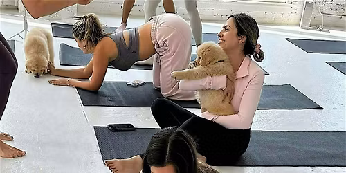 Puppies & Yoga