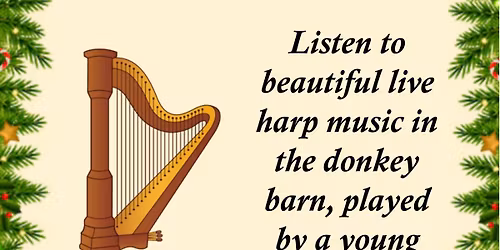 Live Harp Music with the Donkeys!