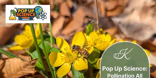 Pop Up Science: Pollination All Around! grades K-2