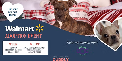 Walmart Adoption Event | Allen, TX