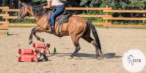 Cowboy Challenge (3rd in the series!)