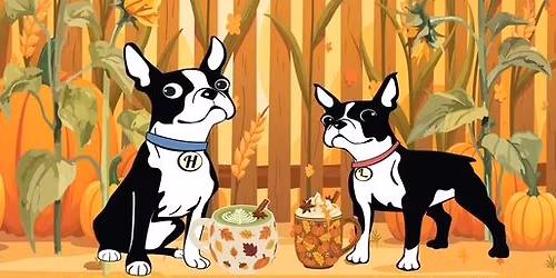 November Vintage Market