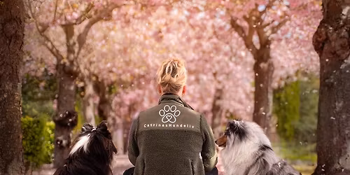 DogCoach event + DROP-IN tr\u00e6ning