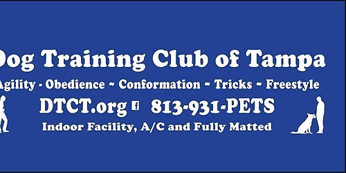 DTCT Obedience Show and Go