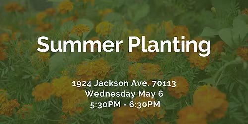 Summer Planting