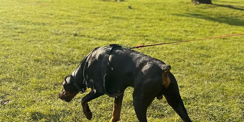 Track2Trail Intro & Progression Workshop - Tamworth