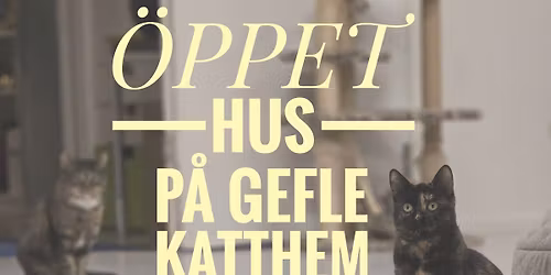 \u00d6PPET HUS P\u00c5 GEFLE KATTHEM