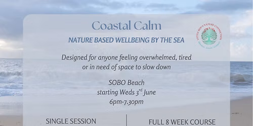 Coastal introduction to nature connection with Little Reds Nature Connection