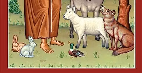 Blessing of the Animals at St. Bonaventure Parish!