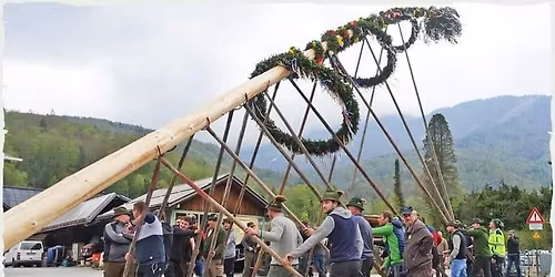 Maibaum Weissenbach