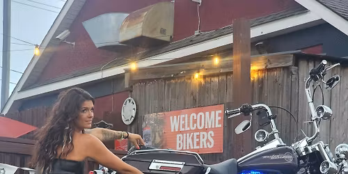 The Alibi Present: A Murder Mystery Series: A Prom Gone Wrong